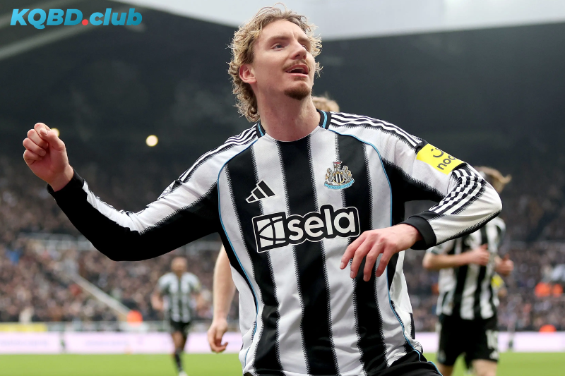 Đội hình dự kiến trước trận Newcastle vs Sunderland Đội hình dự kiến trước trận Newcastle vs Sunderland