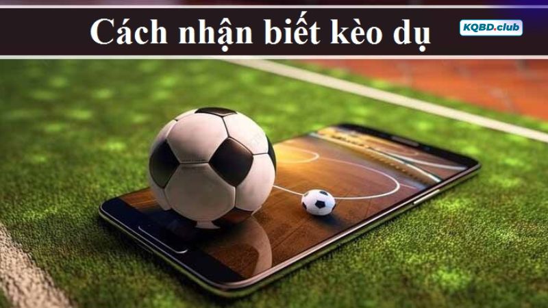 Cách nhận biết kèo dụ đơn giản, hiệu quả từ chuyên gia Cách nhận biết kèo dụ đơn giản, hiệu quả từ chuyên gia